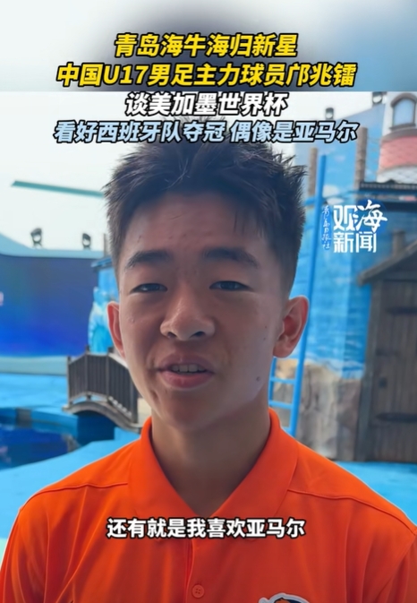 26年世界杯加拿大和波黑预测